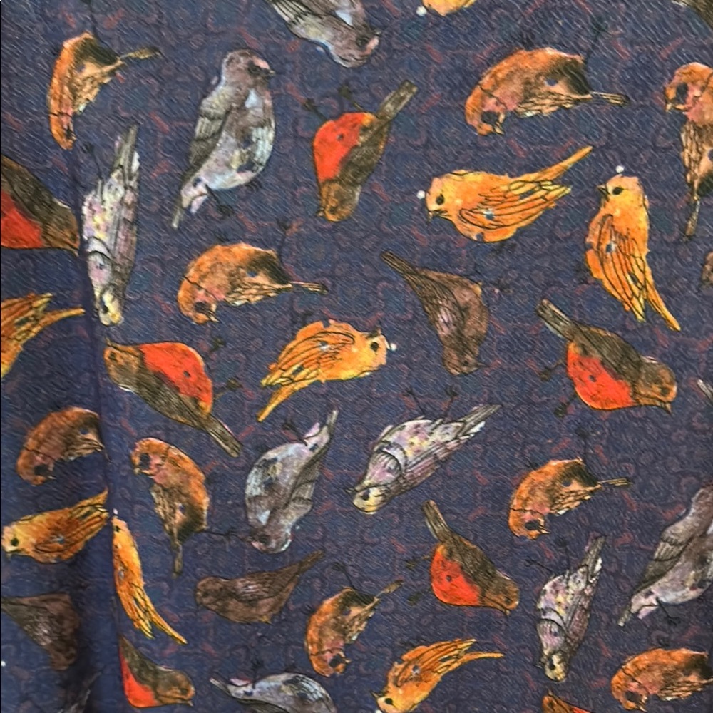 LuLaRoe 3x bird pattern Amelia dress - Picture 3 of 3